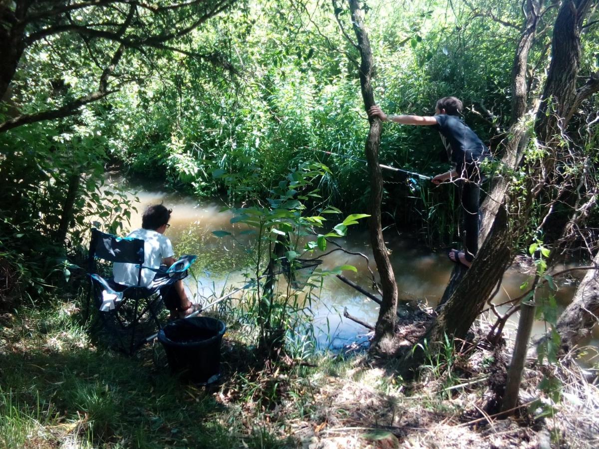 Moulin En Bord De Riviere - Atypique
